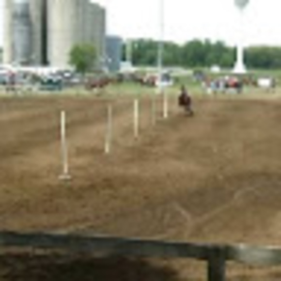 Meet your Posher, William - Picture 1 of 1